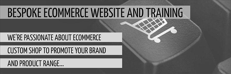 E-commerce website development and training