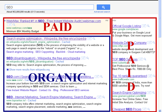 Pay per click vs Organic in SEO